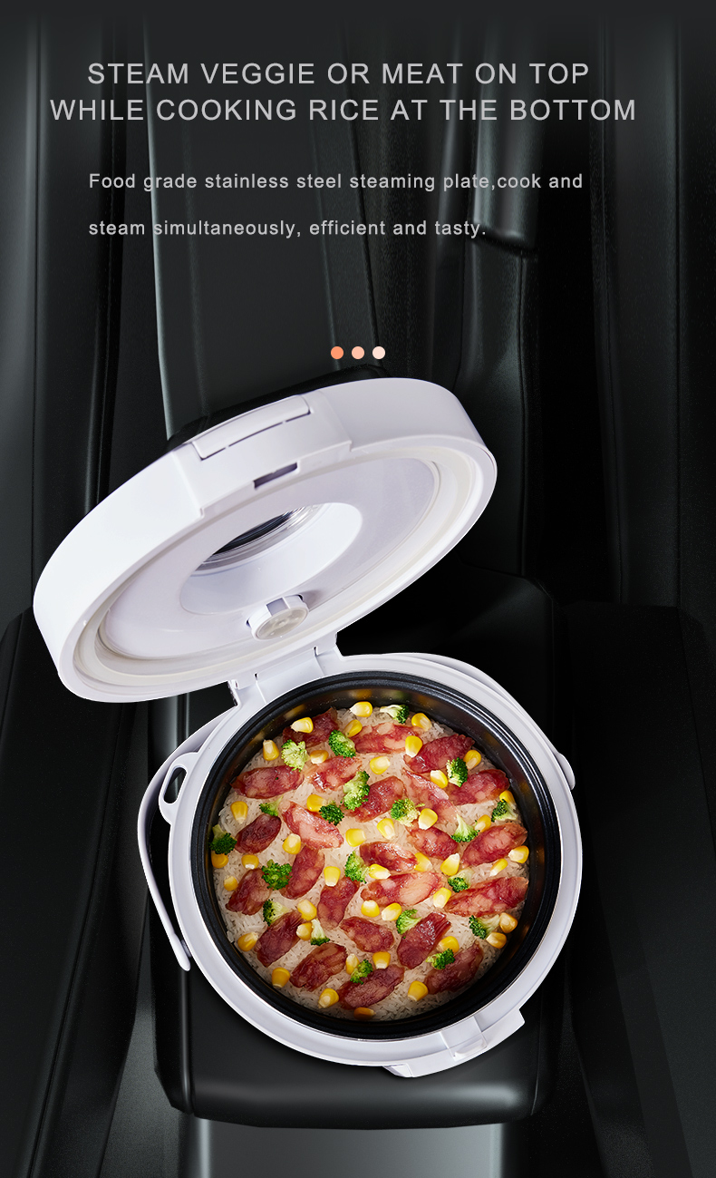 24V Rice Cooker  Truck Soup St - Camping Cooking Basket review and price