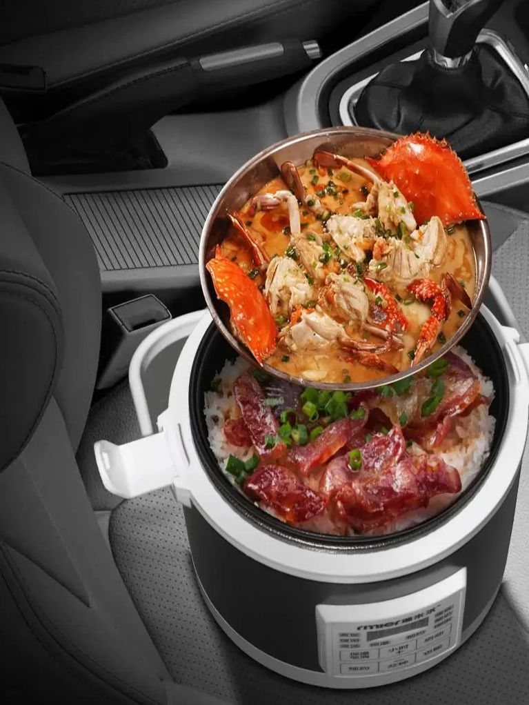 ARIER 12-24V 220V Rice Cooker  - Camping Cooking Basket review and price